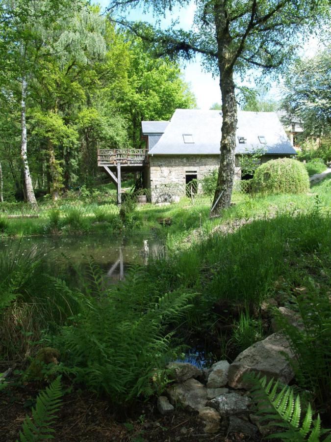 Gite Nature Le Moulin Vitrac-sur-Montane Luaran gambar