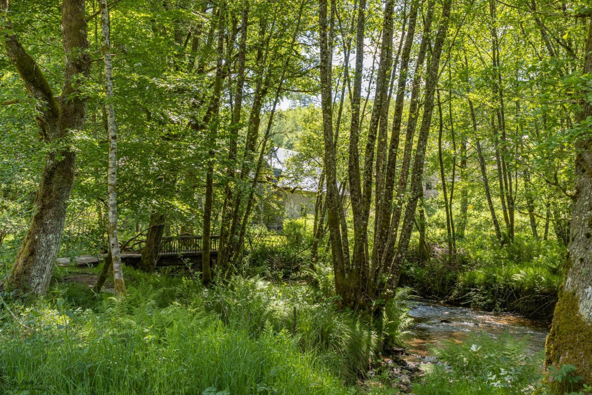 Gite Nature Le Moulin Vitrac-sur-Montane Luaran gambar